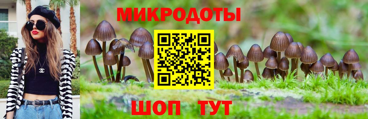 Псилоцибиновые грибы мухоморы Сергиев Посад