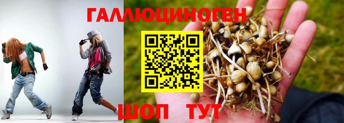 Псилоцибиновые грибы Psilocybine cubensis  Вход с VPN  Сергиев Посад 